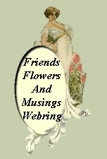 Friends, Flowers and Musings