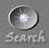Search This Site